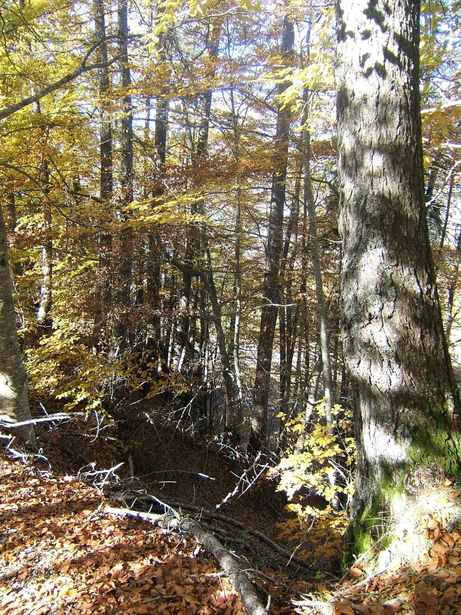 昂塞勒T3 Coquet Et Lumineux Aux Pieds Des Pistes公寓 外观 照片